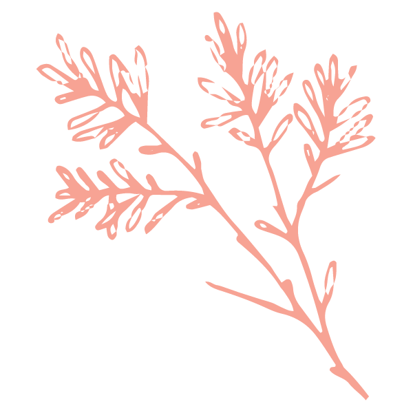 TreeBranchCoral