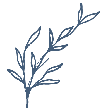 TreeBranchNavy
