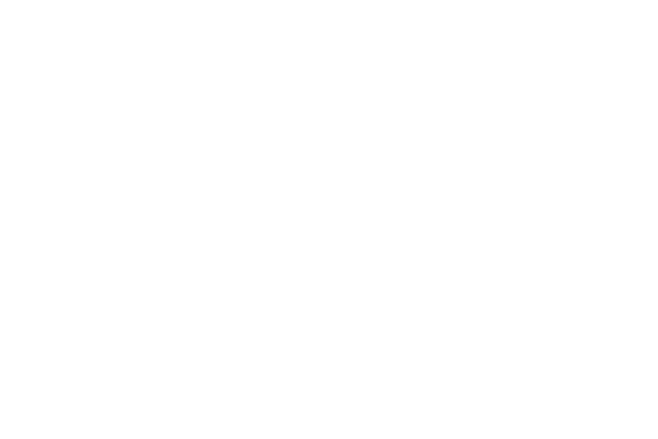 WIM_Logo_White