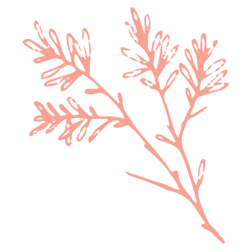 cropped-TreeBranchCoral.png